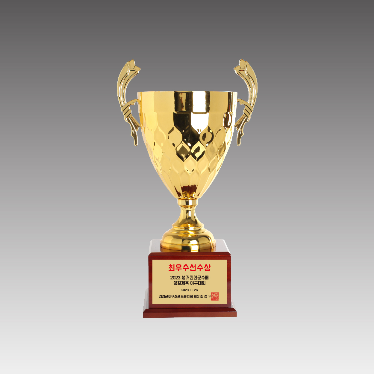 G6202-B 바구스컵 트로피